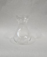Forcing Vase (1 Glass Vase)